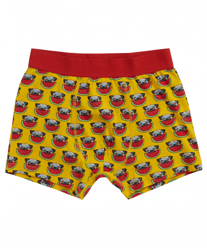 funny boxershort