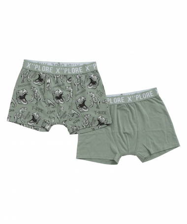 2-pack boxershort dino