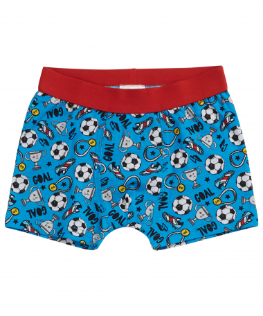 funny boxershort