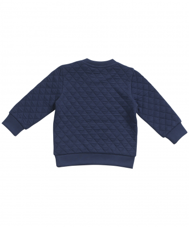 blauwe trui