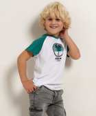 t-shirt met kleurblok raglanmouw